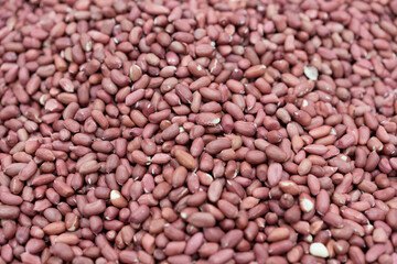 Legumes and grains in supermarkets