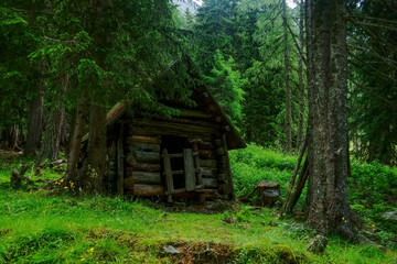 Fototapeta na wymiar little old wooden house in a green forest detail