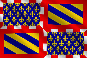 Flag of Burgundy, France