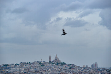 パリ、モンマルトルの風景と飛んでいる鳥