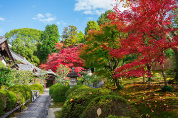 京都　金戒光明寺の塔頭寺院　栄摂院（えいしょういん）の紅葉