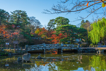 京都　円山公園の紅葉