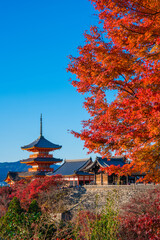 京都　清水寺の三重塔と紅葉　