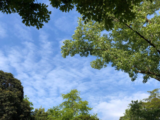 SKY02