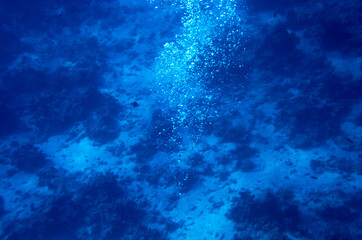 Air bubbles rise from the seabed