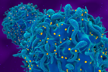 Fototapeta na wymiar Hiv virus attack and infected t-cell closeup 3d render illustration