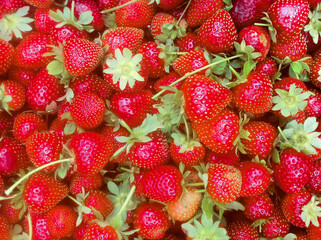 strawberries on a market