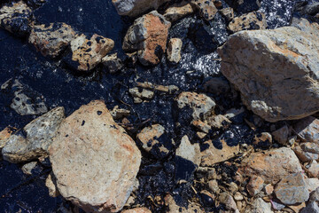 Oil spill. Environmental disaster.  Death of animals.