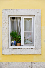 Window with a blue ceramic pot and flowers on the street in Lisbon