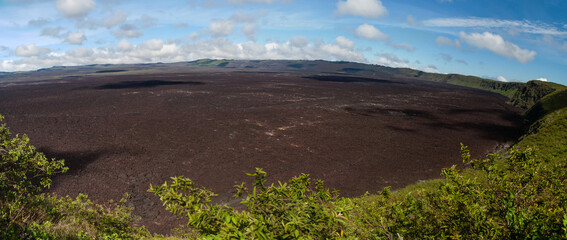 Panorama of volcanic Sierra Negra landscape on Isabela Island. Huge 10 km caldera of this big...