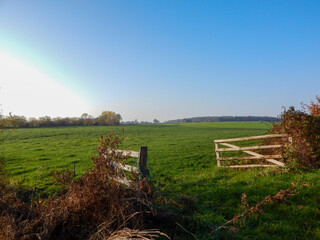 fence in the field