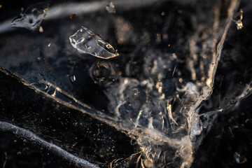 macro shot of ice