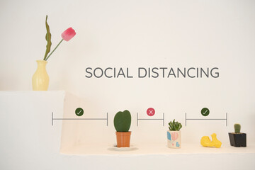 concept new normal social distancing by showing object home decoration indoor with space. Separated by default, Social distance in the workplace or public outdoor building during COVID-19