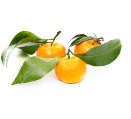 Ripe seasonal tangerines with leaves isolated on a white