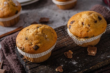 Homemade chocolate muffins