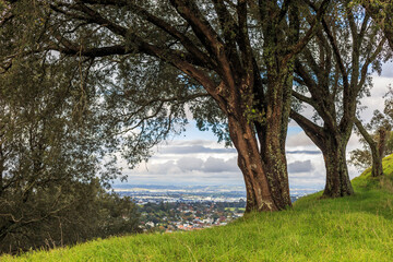 Auckland City from Mount Eden, Aukland, New Zealand.