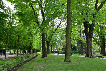 Fototapeta na wymiar Jardin du Luxembourg au printemps à Paris, France