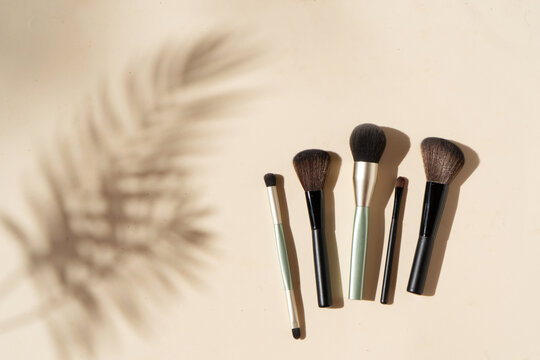 Make Up Brushes