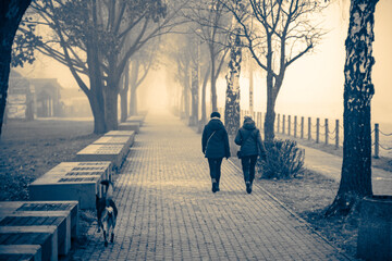 Black and white photography of two people walking a path with park benches at the left and a dog following.
