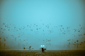 A moment a dog chases waterbirds and frightens them. In black and white photo.