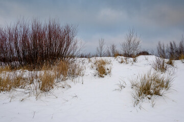 Snow covered beach at sunset, winter landscape in Jastarnia on the coast of the Hel Peninsula. Poland