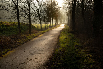 Obraz premium Spätherbstweg im Gegenlicht