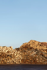 Chopped wood logs for sale use in fire place at home stored on forest woods green biomass energy