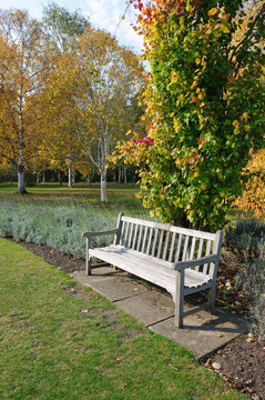 Garden Bench In Cambridge Botanic Garden