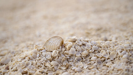 Shark Bay ocean and beach landscapes between Exmouth and Perth in Western Australia.
