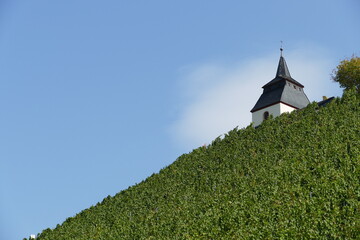 Emporragende Laurentiuskapelle inmitten grüner Weinberge in Trittenheim an der Mosel