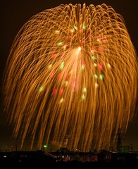 夏の夜空に咲く花火