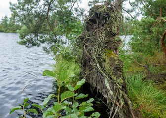 lake shore and water view, cloudy sky, foggy and rainy weather, autumn
