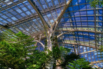 Palm House Schoenbrunn Palmenhaus