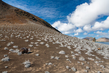 Volcanic cone of Bartolome Island, Galapagos National Park