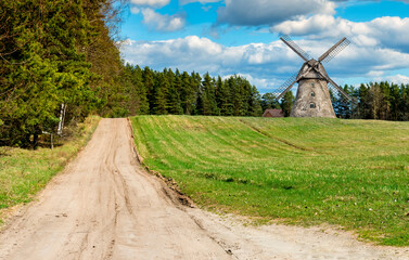 Countryside road among pine forest and field with windmill on horizon,  summer time in Baltic...