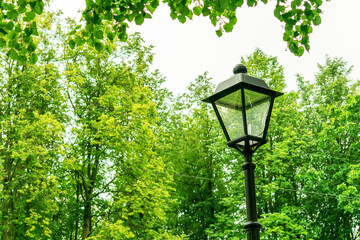 Old street lamp in the park, green trees