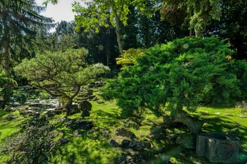 Fototapeta na wymiar Japanese Garden Schlosspark Schoenbrunn