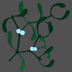 Mistletoe - branches and fruits. Decorative composition. Vector drawing. Graphic arts. Wallpaper. Use printed materials, signs, posters, postcards, packaging.