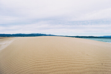Fototapeta na wymiar Lonely dunes in the Ebro delta, Tarragona, Spain.