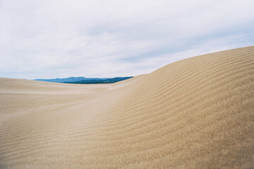 Lonely dunes in the Ebro delta, Tarragona, Spain.