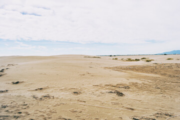 Lonely dunes in the Ebro delta, Tarragona, Spain.