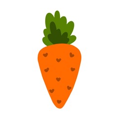 Bright orange colored carrot on a white background. Vector illustration of carrots for printing, textiles, cards. Isolated root vegetable illustration.