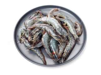 shrimps on a white background 