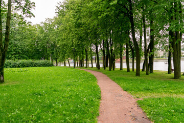 Fototapeta na wymiar Path in the green summer Park