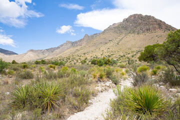 Guadalupe Mountains National Park in Texas, USA