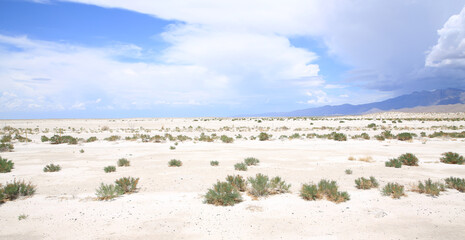 Dry Salt Lakes near El Paso in Texas, USA