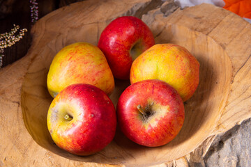 autumn is the time to harvest apples