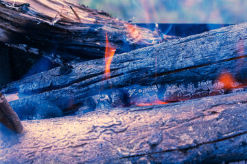 Bonfire, burning logs in the fireplace, orange flame of a fire