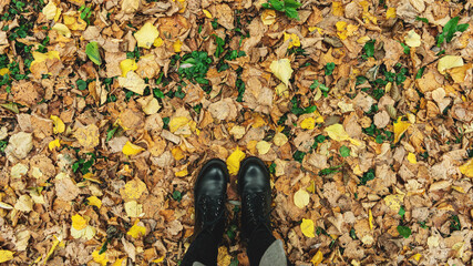 Concept of autumn walks. Woman stands on fallen yellow leaves in autumn Park, female legs, close-up, 16: 9