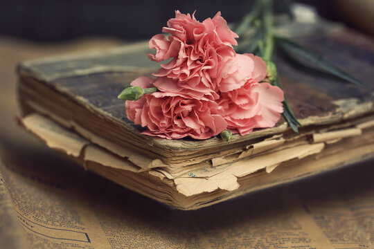 flowers  and vintage concept